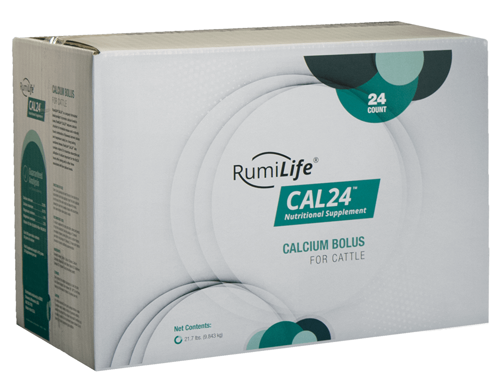 RumiLife Cal24 - 24 tratamentos de cálcio para vacas - Alta Genetics do Brasil